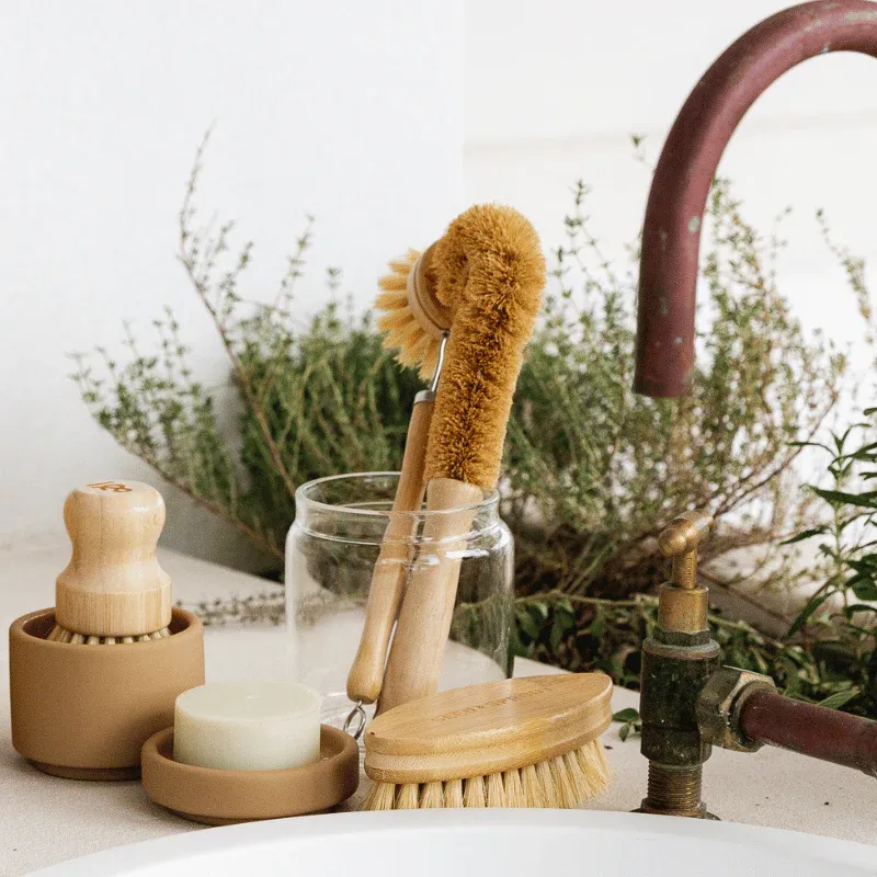 Vegetable Brush | Beechwood